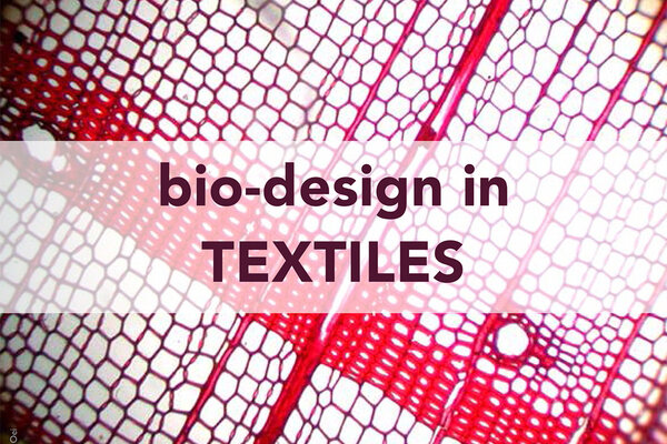 Biodesign in Textiles, Rijksmuseum Volkenkunde Leiden, NL