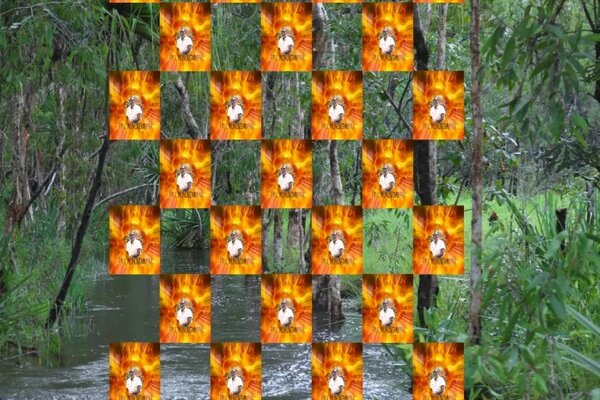 Collage aus Fotorafie einer Flußlandschaft im Hintergrund und schachbrettartig aufgeteiltes Muster, bestehend aus einem, sich wiederholenden, rechteckigen Portrait einer Person vor flammenartig leuchtendem Hintergrund 
