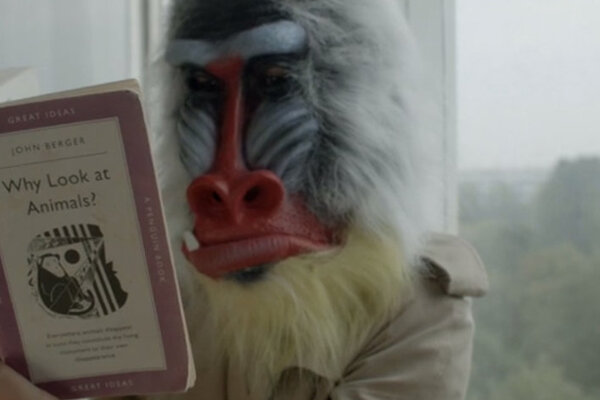 Das Bild zeigt eine Person mit einer Mandrill-Maske, die das Buch „Why Look at Animals?“ des britischen Schriftstellers John Berger liest. Es ist ein Filmstill aus dem Dokumentarfilm "The Season of Quincy: Four Portraits of John Berger"