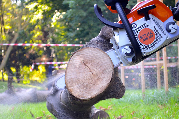 Herbstsessions: Kettensägen Workshop - Sponsored by Stihl