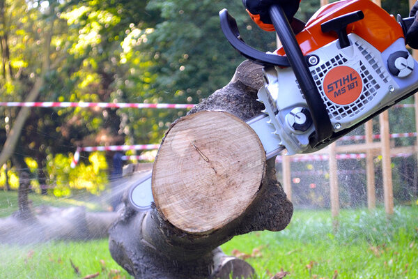 Herbstsessions: Kettensägen Workshop - Sponsored by Stihl