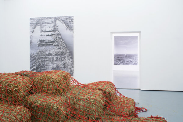 [Translate to English:] "tie, bond, relation" von Sophia Roggenkamp