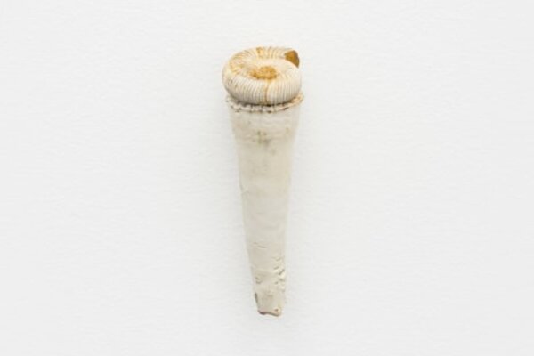 Nina Canell, Tailings 2023