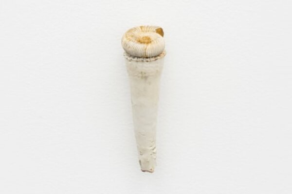 Nina Canell, Tailings 2023
