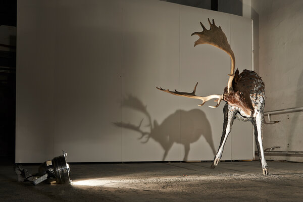 Foto: Sascha Linke