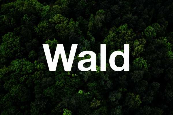 Wald Trailer