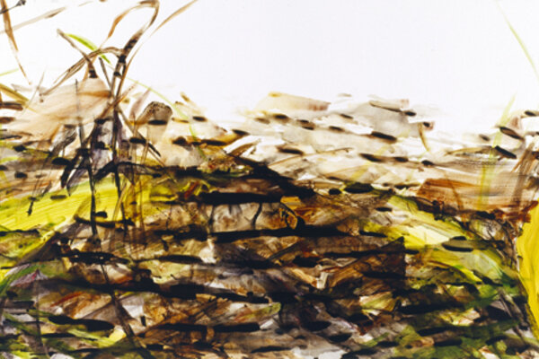 Lee Sae Bom, „Feld X“, Acryl auf Papier, 105 x 424 cm, 2002