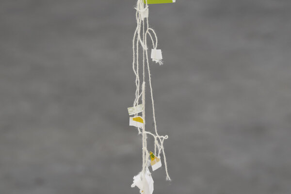 Nina Canell, Future Mechanism Rag plus Two Grams, 2024 